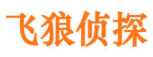 天镇飞狼私家侦探公司